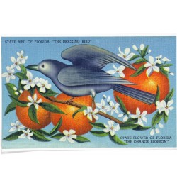 24x36 Inch Giclee Print, Florida, Mockingbird and Orange Blossoms State Bird and Flower $24.50 Totes