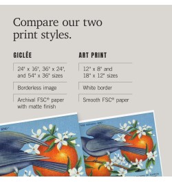 24x36 Inch Giclee Print, Florida, Mockingbird and Orange Blossoms State Bird and Flower $24.50 Totes