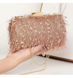 Clutch Purses for Women Evening Bag Tassel Hobo Handbag Shouder Crossbody Bag with Chain for Wedding Party Silver $12.38 Even...