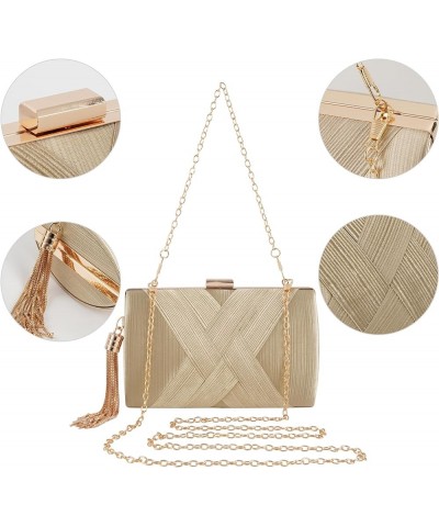 Women Tassel Evening Clutch Bag Fringed Evening Handbag Party Wedding Chain Clutch Purse Champagne $16.32 Evening Bags