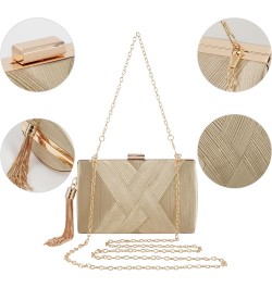 Women Tassel Evening Clutch Bag Fringed Evening Handbag Party Wedding Chain Clutch Purse Champagne $16.32 Evening Bags