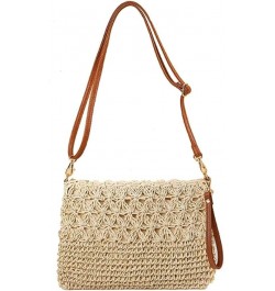 Straw Handbag Evening Bag Clutch Purses for Women,Elegant Summer Beach Tote Tassels Straw Top Handle Clutch with Chain Off-wh...