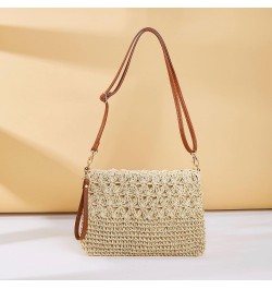 Straw Handbag Evening Bag Clutch Purses for Women,Elegant Summer Beach Tote Tassels Straw Top Handle Clutch with Chain Off-wh...