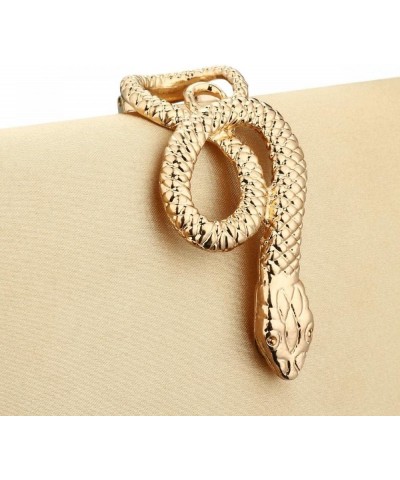 Multicolor Snakeskin Purse for Women Box Evening Bag Green Snakeskin Clutch Handbag Party Wedding Gold $11.00 Evening Bags