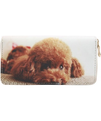 Premium Puppy & Kitty Animal Print PU Leather Zip Around Wallet, V9 V7 $8.79 Wallets