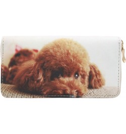 Premium Puppy & Kitty Animal Print PU Leather Zip Around Wallet, V9 V7 $8.79 Wallets