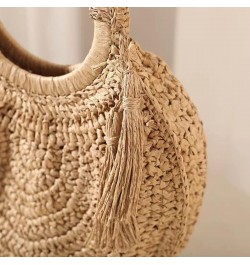 Straw Bag for Women Crossbody Beach Tote Black Clutch Shoulder Bags Summer Travel Handbag Female Bag Purse Women (Color : N) ...