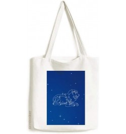 Star Universe Leo Constellation Pattern Tote Canvas Bag Shopping Satchel Casual Handbag $16.42 Totes