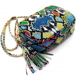 Girls Womens Leopard Snake Zebra Print Faux Leather Square Crossbody Bag Purse Square With Tassel - Bright Multicolor Snake P...