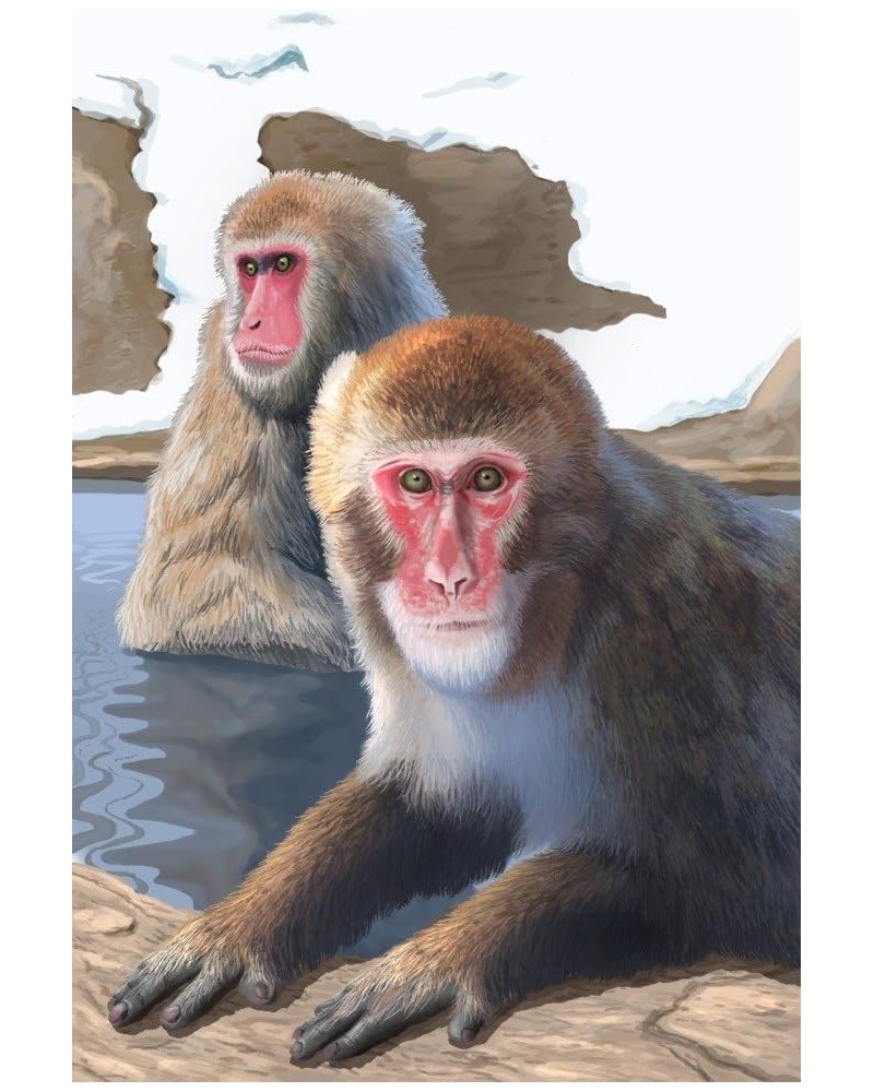 Japanese Macaque (24x36 Giclee Gallery Art Print, Vivid Textured Wall Decor) $22.50 Totes