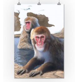 Japanese Macaque (24x36 Giclee Gallery Art Print, Vivid Textured Wall Decor) $22.50 Totes