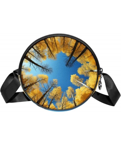 Crossbody Bags for Women,Crossbody Bag Men,Small Sling Bag,Autumn Sky Golden Trees,Crossbody Purse $10.99 Crossbody Bags